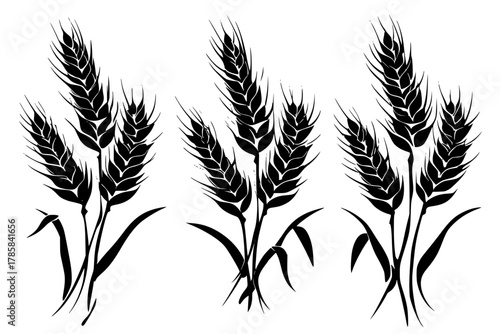 Elliptical Wheat Silhouettes - Three Grain Heads Grouped Together | Clean, isolated vector art for creative projects.