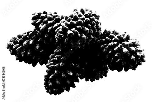 Sumac's Symphony: Intricate Portrayal Nature's Artistry | Clean, isolated vector art for creative projects.