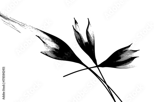 Silhouette Flower Saffron Thread, exquisite detailing | Clean, isolated vector art for creative projects.