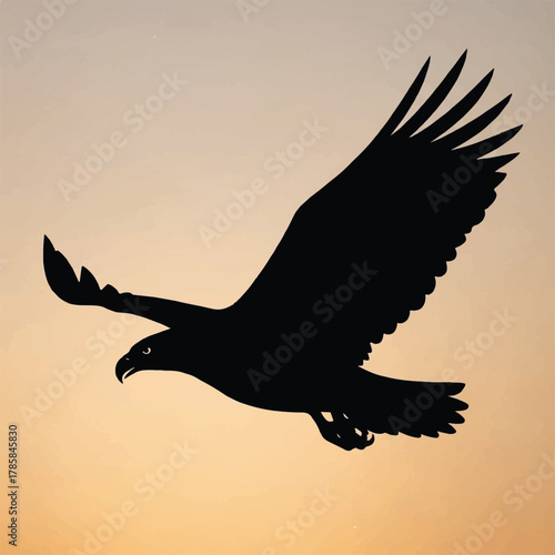 Silhouette of an eagle soaring gracefully against a warm sky background