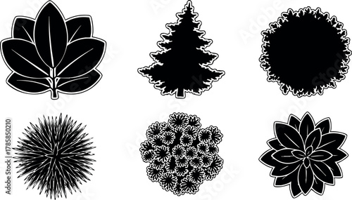 Six Black Silhouette Tree and Plant Leaf Shapes Vector Illustration Design Elements 