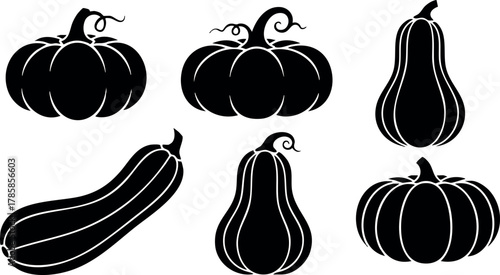 Black silhouette pumpkins and gourds vector set with various shapes for autumn designs 
