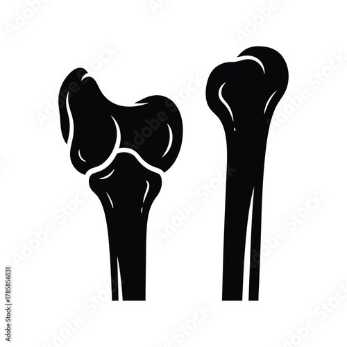 Human arm and leg bones anatomy silhouette medical vector icon. humerus and knee joint.