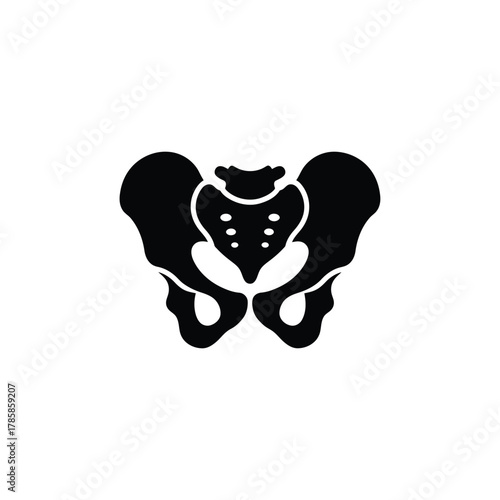Human pelvis bone anatomy medical skeleton icon vector illustration for healthcare biology