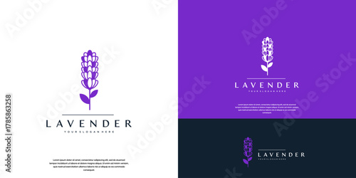 logo benefits of lavender flowers for beauty and herbal medicine, extraction process, vector design template.