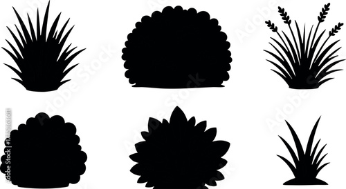 Various silhouette grass and bush plants vector set for natural outdoor design elements 