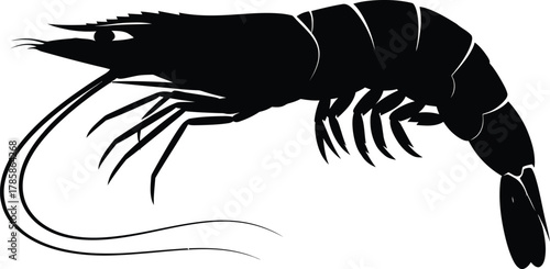 Isolated shrimp silhouette vector illustration seafood black and white eps