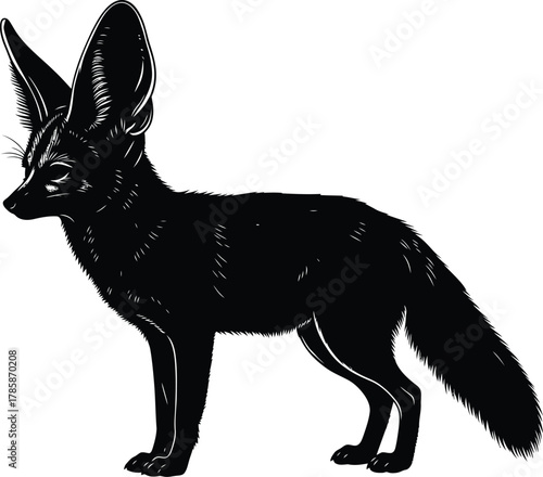 Black and white fennec fox illustration with large ears desert animal eps silhouette