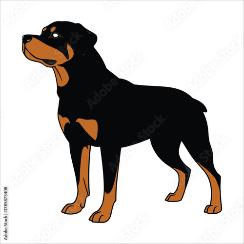 vector illustration of a dog
