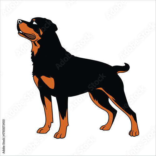 vector illustration of a dog