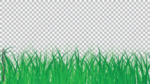 Lush green grass border illustration on transparent background for nature designs and decoration projects