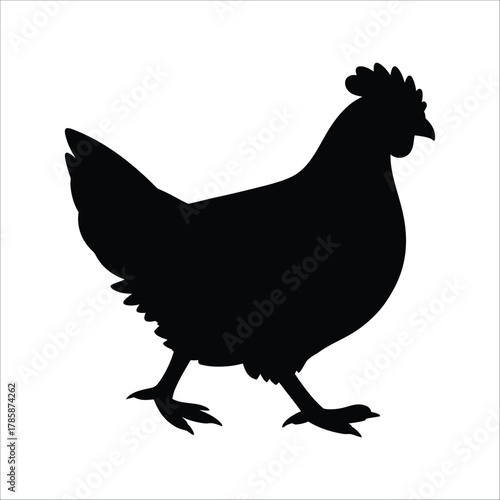 Chicken hand-drawn set coloring page and outline vector design