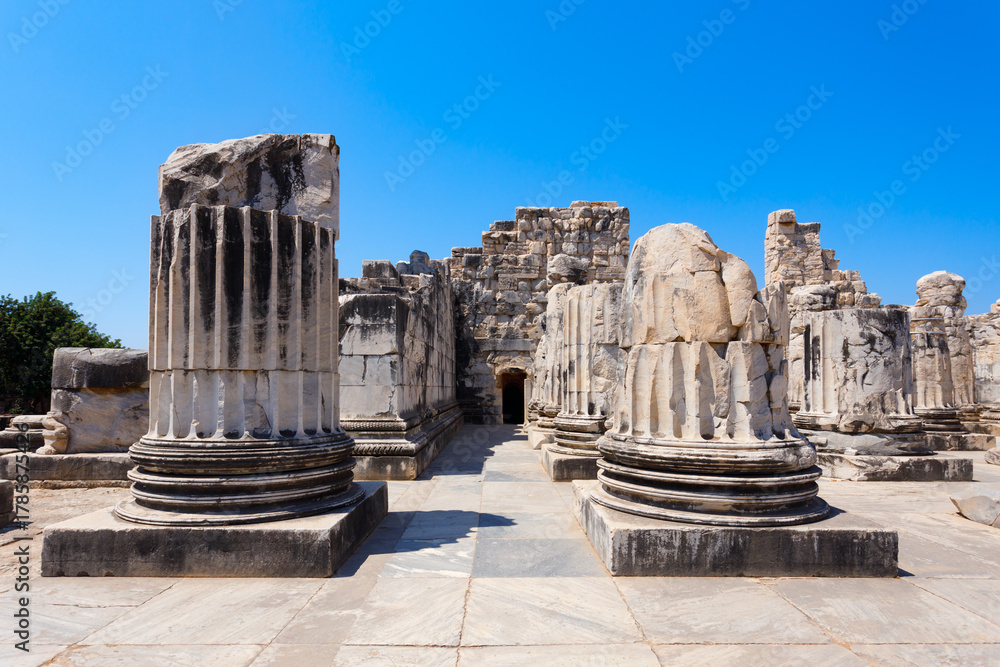 Fototapeta premium Temple of Apollo ruins at Didyma ancient sanctuary in Didim city in Turkey