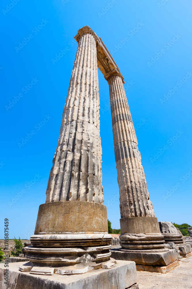 Fototapeta premium Temple of Apollo ruins at Didyma ancient sanctuary in Didim city in Turkey
