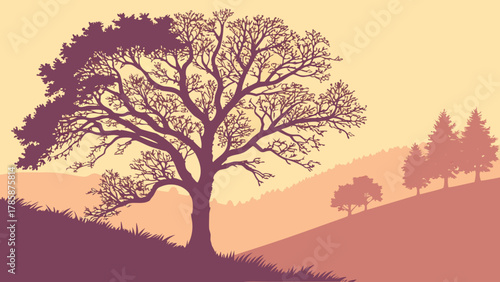 Silhouette of a lonely tree on a hill with a beautiful landscape view