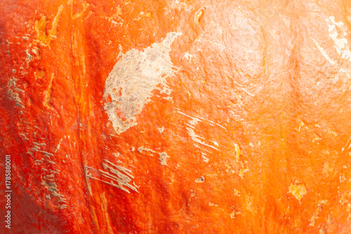 orange pumpkin surface texture close-up.