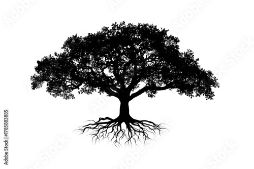 Bold black silhouette of a mature tree with intricate roots against a white background