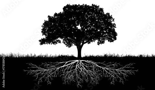 Black and white silhouette of a tree with lush canopy, exposed roots, and grass