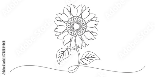 continuous line drawing of sunflower vector 3.eps