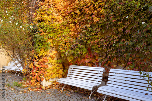 Photography Vojan gardens in prague showing white park benches next to a stone wall covered