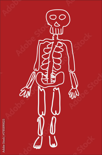 White Skeleton on Red Background, cartoon-style drawing 