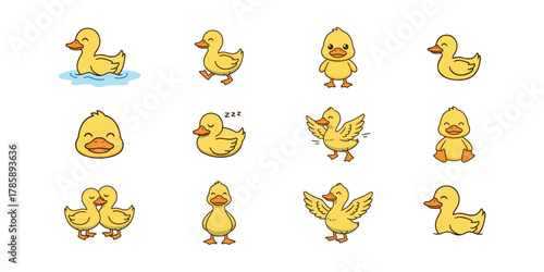 Ducklings Cartoon Collection