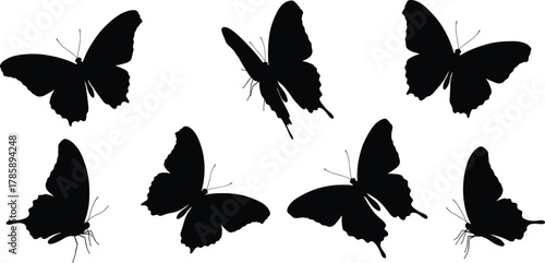 Black butterfly silhouettes flying isolated on white background, elegant insect shapes collection, nature vector illustration for design decoration