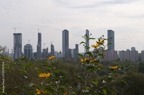 Modern skyscraper on the edge of nature