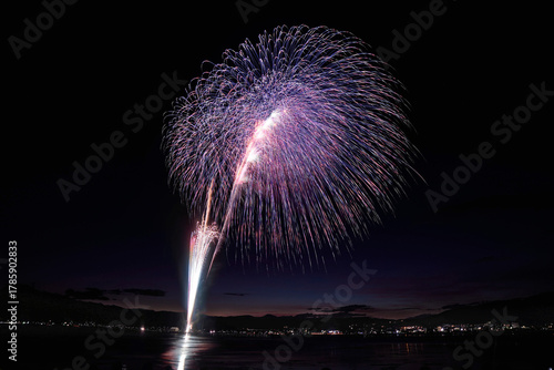 全国新作花火競技大会「太陽堂田村煙火店」