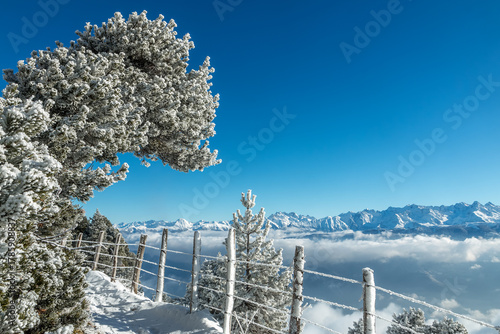 L' hiver en montagne , massif de la Chartreuse , Aulp du Seuil , Col de Marcieu , Isère , France