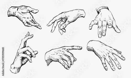 Vintage  hand gestures set. Detailed sketch of human hands in different poses for tattoo design, illustration, or classical art concept. Isolated vector style.