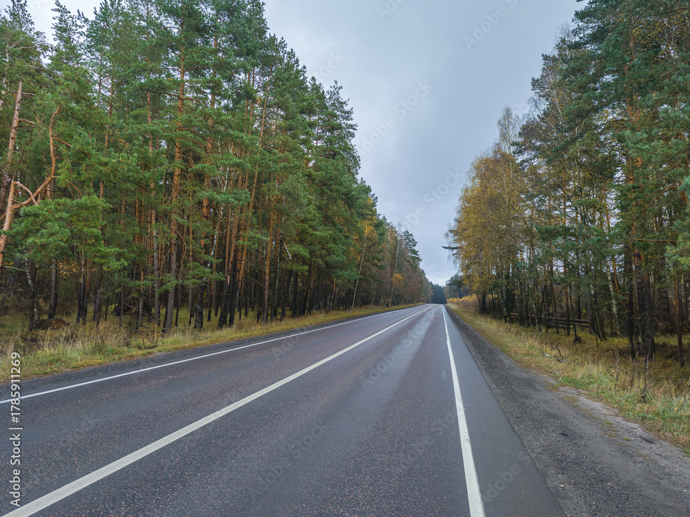 Fototapeta premium Road with trees on both sides and a clear sky
