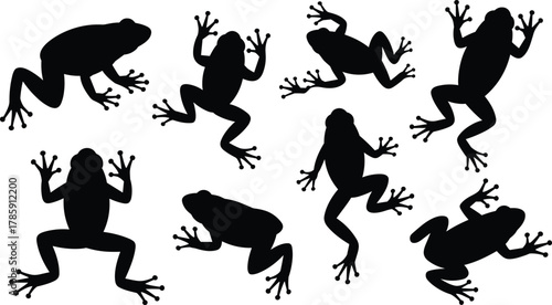 Frog silhouette collection, black amphibian icons, dynamic frog poses, jumping frog shapes, nature graphics, vector design, animal movement, illustration set