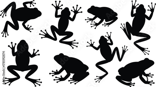 Frog silhouette collection, black frog icons, amphibian poses, jumping frog shapes, nature graphics, vector design elements, biology illustration, animal set