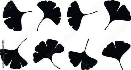 Ginkgo leaf silhouettes, black botanical icons, nature foliage shapes, fan leaf design, vector illustration set, elegant plant elements, graphic artwork