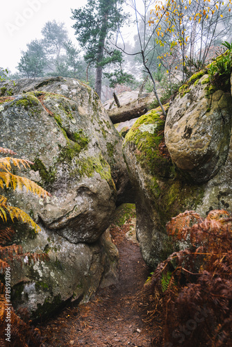 Cave of the White Doe, rocks in the forest