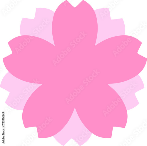 pink flower on white