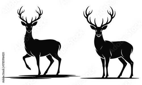 silhouette of a deer