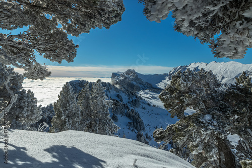 L' hiver en montagne , massif de la Chartreuse , Aulp du Seuil , vue sur rochers de Bellefont, Col de Marcieu , Isère , France