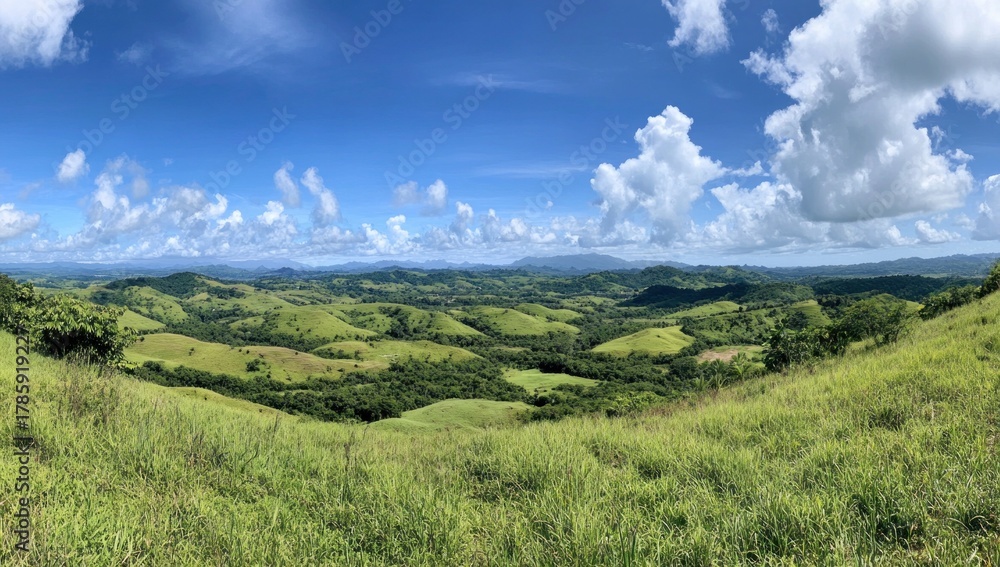 Fototapeta premium Expansive panoramic view of vibrant green rolling hills and dense tropical vegetation under a bright blue sky with white fluffy clouds on a sunny day.