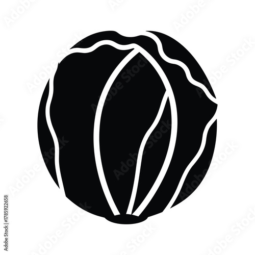 Cabbage head vegetable fresh healthy food nutrition diet vegetarian vegan organic produce  character