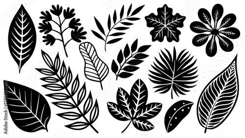 Very beautiful vector collection of leaves and plants icons, featuring clean minimalist design elements isolated on a white background, with detailed botanical shapes and a realistic natural style.