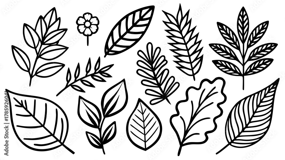 custom made wallpaper toronto digitalVery beautiful vector collection of leaves and plants icons, featuring clean minimalist design elements isolated on a white background, with detailed botanical shapes and a realistic natural style.