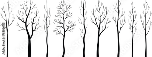 Leafless tree silhouettes, black winter trees, bare branches, seasonal tree shapes, nature graphics, forest icons, vector design elements, illustration set