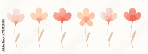 Gentle pastel flowers painted in soft pink and peach tones. Minimal representing spring, tenderness and natural beauty