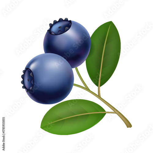 Blueberry branch with glossy leaves, forager picked plump berries on slender stem, light dewdrops, textured skin, vibrant deepblue tones, rustic market mood, healthy