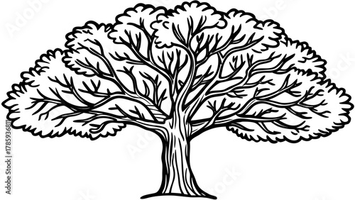 Very beautiful vector illustration of a simple black tree in doodle style, isolated on a white background, featuring hand-drawn lines, minimalist design, and a playful yet realistic natural appearance