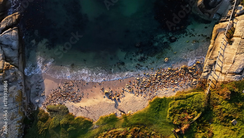 Aerial view of golden sands meet turquoise waters, framed by rugged cliffs and vibrant green vegetation, a coastal tapestry of contrasts., Cape Town, Western Cape, South Africa.
