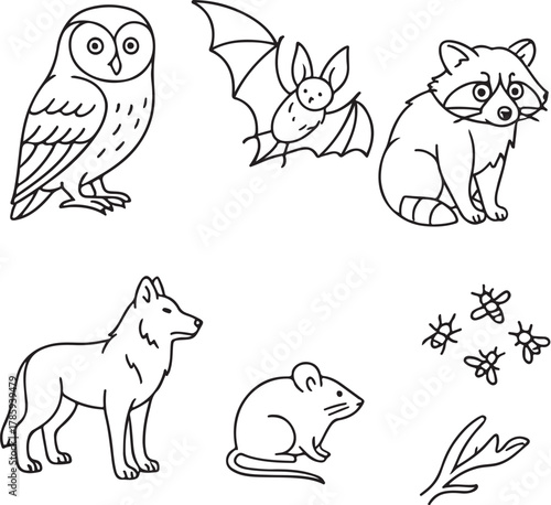 nocturnal forest creatures  black and white vector illustration eps