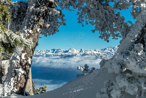 L' hiver en montagne , massif de la Chartreuse , Aulp du Seuil , vue sur Belledonne, Col de Marcieu , Isère , France